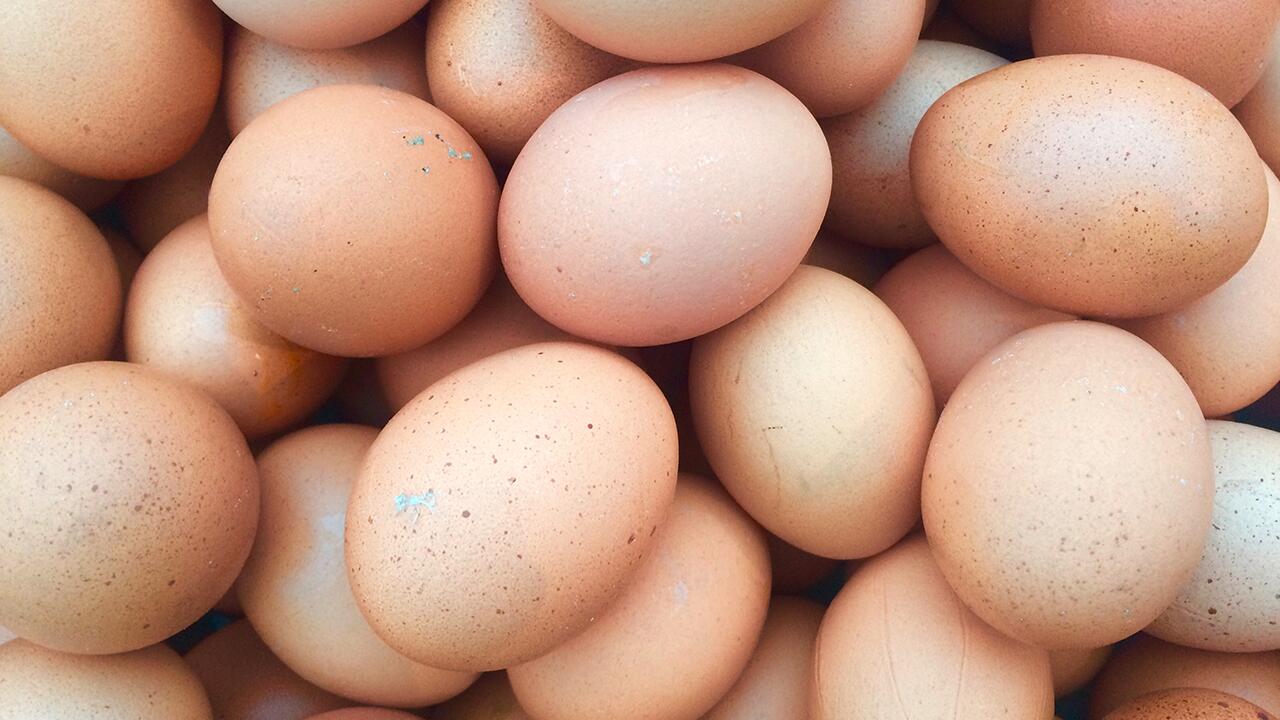 Eier im Test: Artgerechte Haltung ist immer noch ein Problem